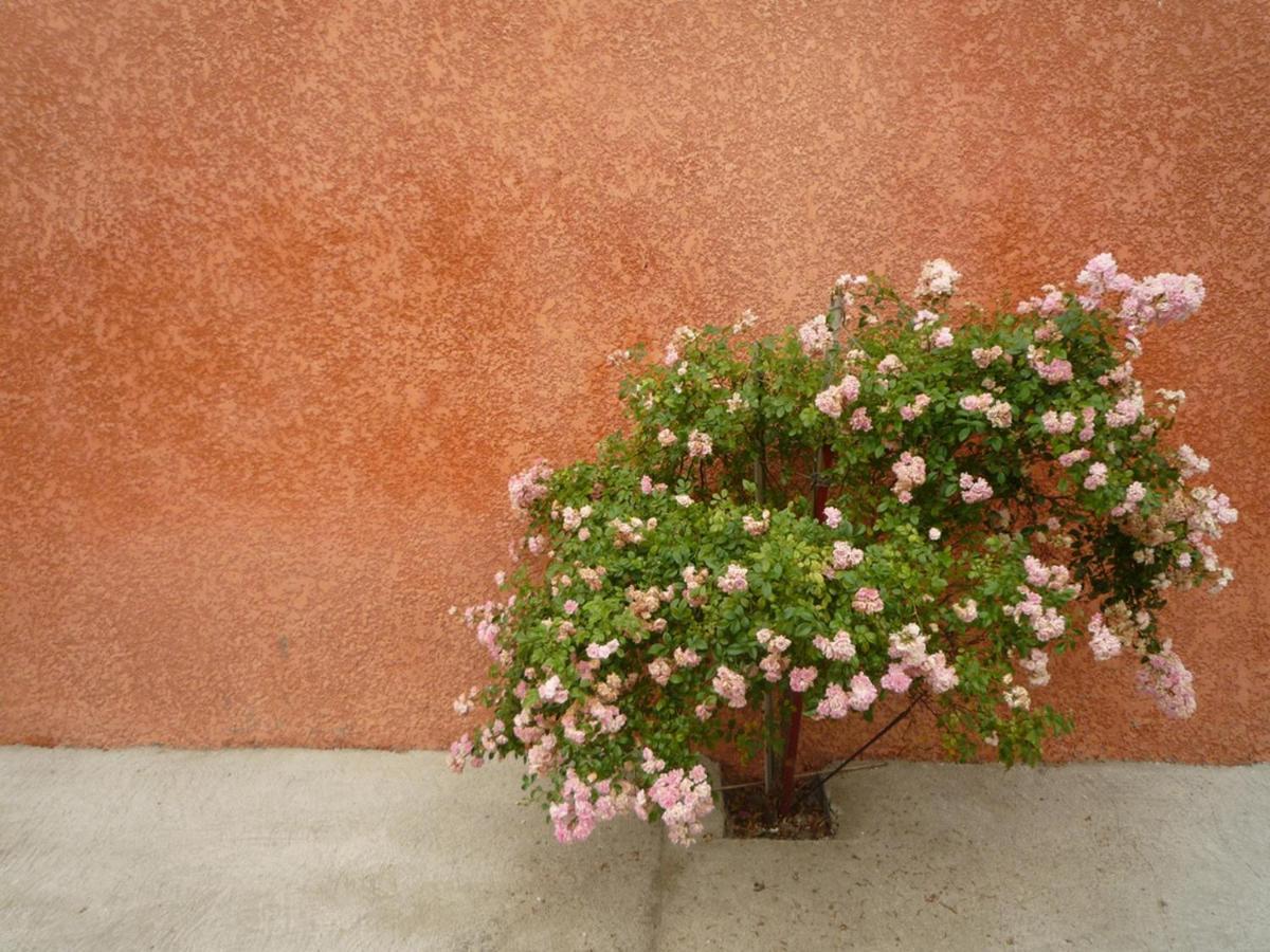 فيلا Charming And Quaint 2-Bed House In Marseillan المظهر الخارجي الصورة